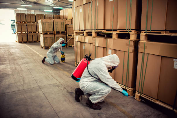 Best Local Pest Control Services  in Del Rio, CA