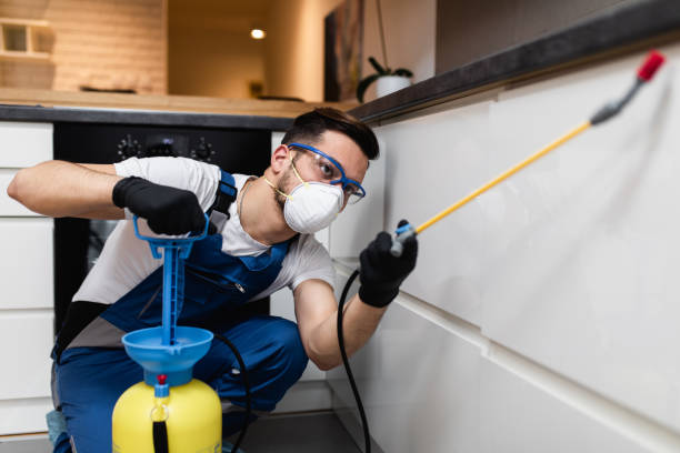 Best Pest Control for Businesses  in Del Rio, CA