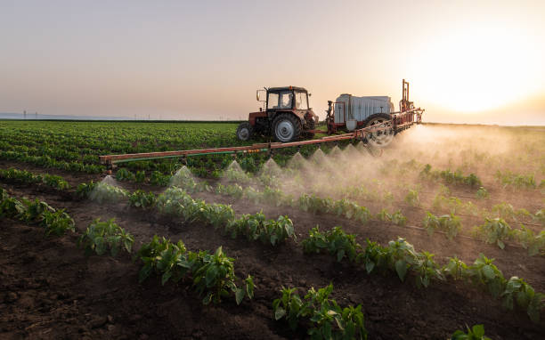 Best Ant Control Services  in Del Rio, CA