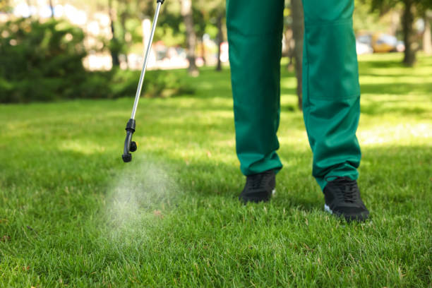 Best Rat Extermination Near Me  in Del Rio, CA