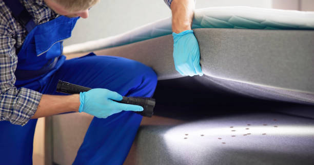 Best Cockroach Control Services  in Del Rio, CA