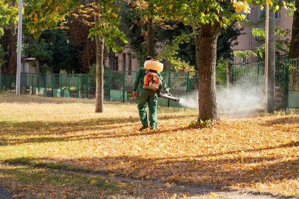 Reliable Del Rio, CA Pest Control Solutions