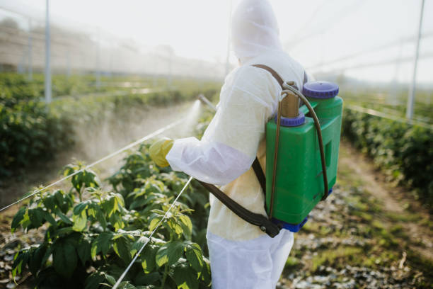 Best Insect Control  in Del Rio, CA